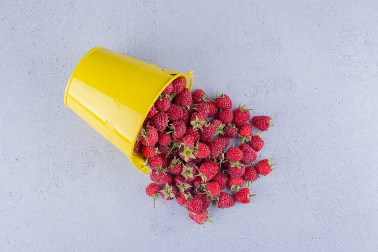 توت فرنگی خشک عمده با طعمی دلنشین و بافت تازه